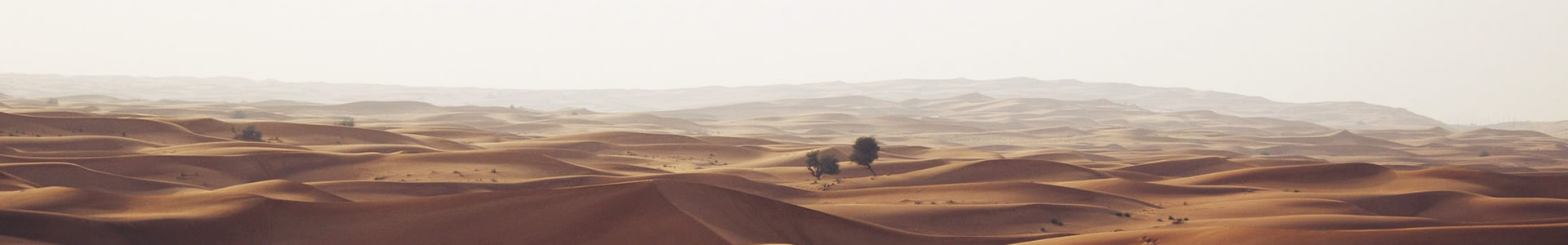 θΰҵ·Ƽ޹˾